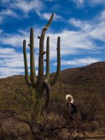 Douglas spring10-P2123583.jpg