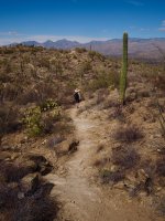 Douglas spring12-P2123643.jpg