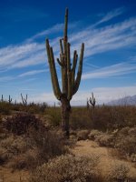 Douglas spring14-P2123709.jpg