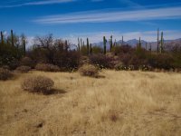 Douglas spring 15-P2123767.jpg