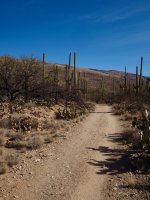 Loma alta10-P2133829.jpg