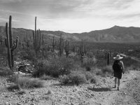 Loma alta 11-P2133844.jpg