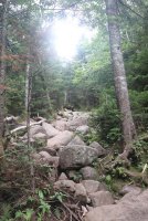 East Coast Switchbacks_edited.jpg