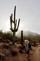 Aase-beginning trail-P2175837.jpg