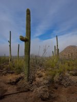 close to car-P2175834.jpg