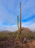 Aase-beginning trail-P2175825.jpg