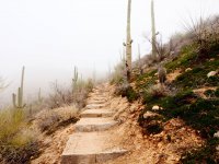 first steps-P2175918.jpg