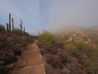 up and down--P2175960.jpg