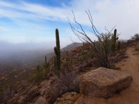 flat section-P2175966.jpg