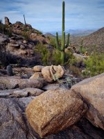 rock area2-P2176290.jpg