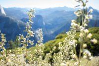 Four Mile Trail-16.jpg