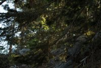 Four Mile Trail-24.jpg