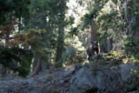 Four Mile Trail-25.jpg