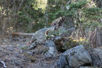 Four Mile Trail-26.jpg