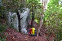 Trip 192 (238)-XL.jpg