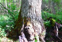 Trip 192 (342)-XL.jpg