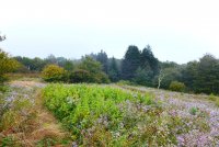 Trip 192 (364)-XL.jpg