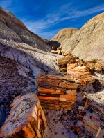 pf6-PB270294 Petrified Forest v2.jpg