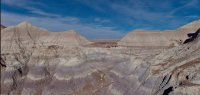 pf7-PB270350 Panorama Petrified Forest.jpg