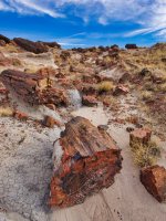 pf12-PB270532 Petrified Forest.jpg