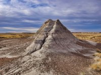 PF16-PB270580 Petrified Forest.jpg