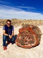 Not-the-oldest-Rick-petrified-forest-IMG_5204.jpeg