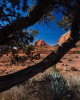 H1-Cow Pie view of Mitten Ridge w Hangover trail-2017-P2080646.jpg H1-Cow Pie view of Mitten Ridge w Hangover trail-2017-P2080646.jpg