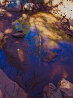 H12-reflections- Munds Wagon-P2080875.jpg H12-reflections- Munds Wagon-P2080875.jpg