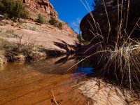 H14-reflections-Munds Wagon-P2080993.jpg