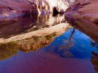 H16-reflections-Munds Wagon-P2081041.jpg H16-reflections-Munds Wagon-P2081041.jpg