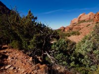 H18-high up on Munds Wagon-P2081111.jpg H18-high up on Munds Wagon-P2081111.jpg