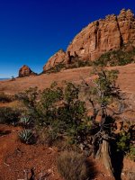 H19-Cow Pies viewpoint-P2081199.jpg