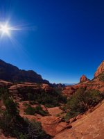 H22- Cow Pies- view-P2080045.jpg H22- Cow Pies- view-P2080045.jpg