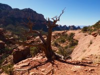 H26-easy beginning-Hangover-P2081303.jpg H26-easy beginning-Hangover-P2081303.jpg