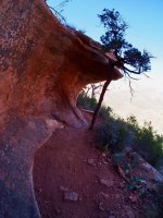 H36-tree in the way-P2080086.jpg H36-tree in the way-P2080086.jpg