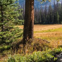 Naturalist Basin Loop 9-180111-proc.jpg