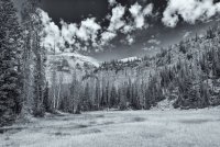 Naturalist Basin Loop 9-180131-bw.jpg