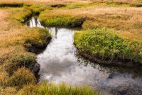 Naturalist Basin Loop 9-180135-proc.jpg