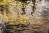 Naturalist Basin Loop 9-180160-proc.jpg