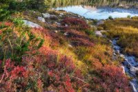 Naturalist Basin Loop 9-180550-recipe.jpg