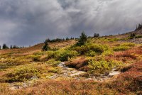 Naturalist Basin Loop 9-180777-proc2_1.jpg