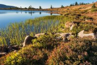 Naturalist Basin Loop 9-181020-procsh.jpg