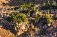 Naturalist Basin Loop 9-181161-sunlight.jpg