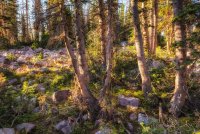 Naturalist Basin Loop 9-181193-sunlight.jpg