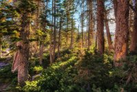 Naturalist Basin Loop 9-181264-sunlight.jpg