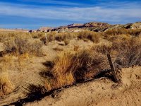 W2-first and last signs-PC030012.jpg