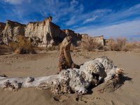 W9 something cool PC030066.jpg