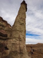 W17- saguaro instructions PC030154.jpg