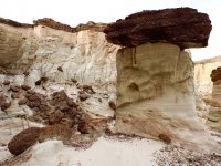 W20- zoom in PC030228.jpg