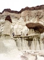 W48 Vertorama Rick IMG_5798.jpg